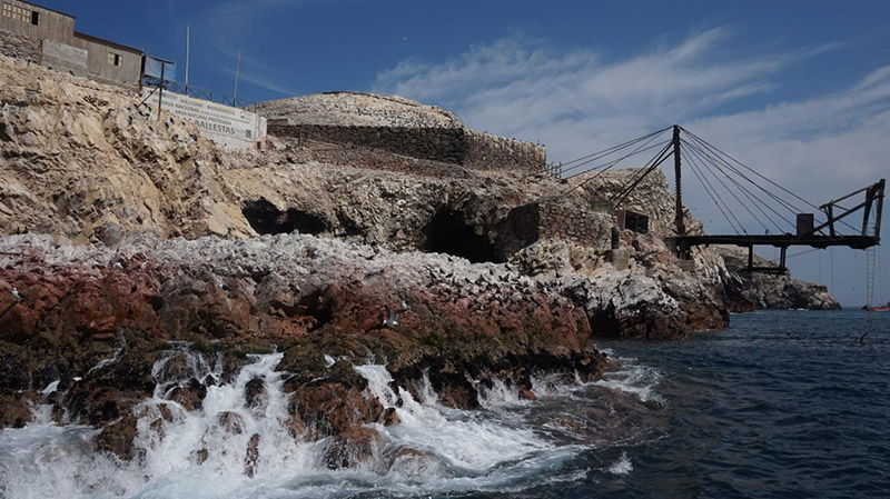 Day Trips From Lima - Islas Ballestas