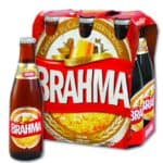 Brahma Beer Brazil - South American Beers 2020
