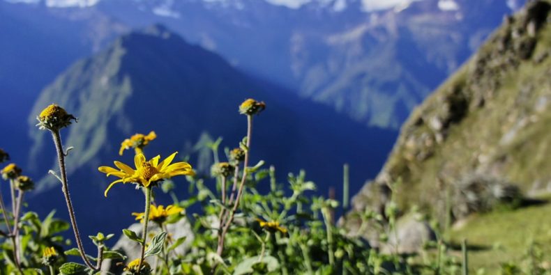 Choquequirao trek