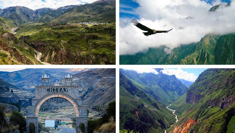 Colca Canyon Full Day Tour photo gallery