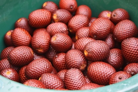 Peruvian fruits - Aguaje