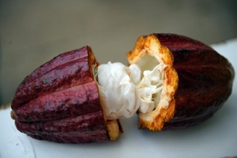 Peruvian fruits - Cacao